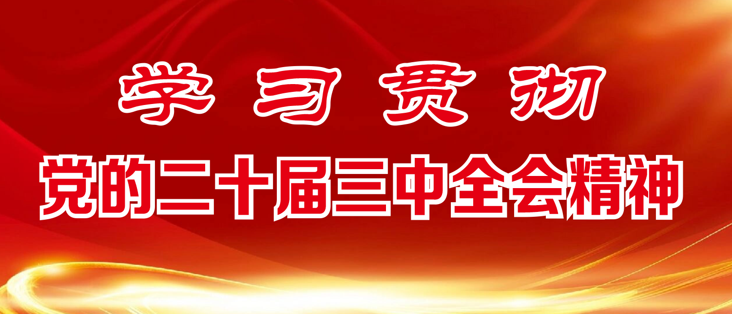 学习贯彻党的二十届三中全会精神