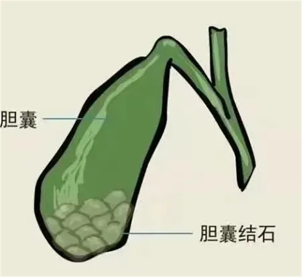 640_副本.jpg 640_副本.jpg