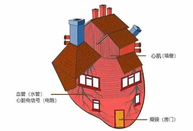 佛子岭3号医生 | 杨映霞：不同的心脏检查项目有啥区别？看完这篇你就明白啦