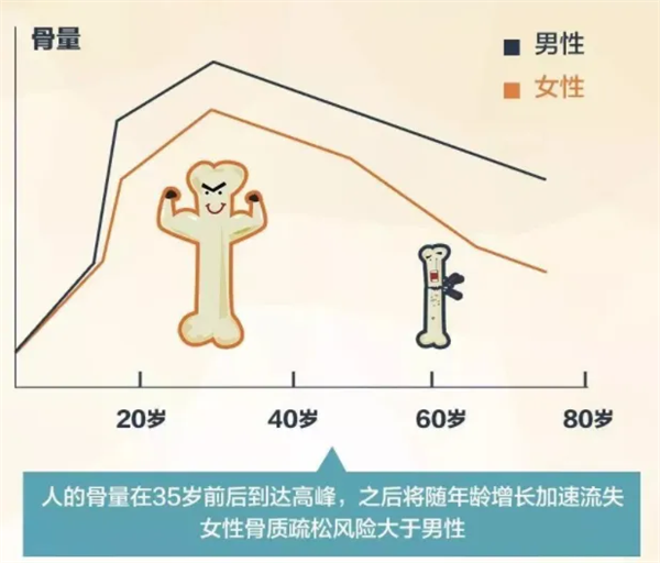 骨骼1111.png