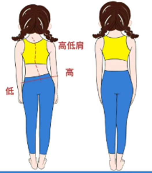 微信图片_2025-09-03_081537_030.jpg 微信图片_2025-09-03_081537_030.jpg